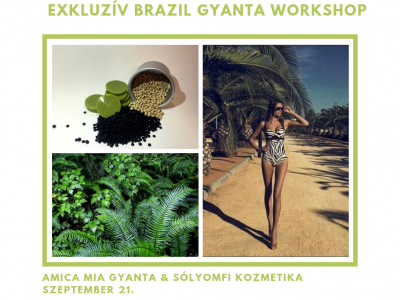 Brazil gyanta workshop